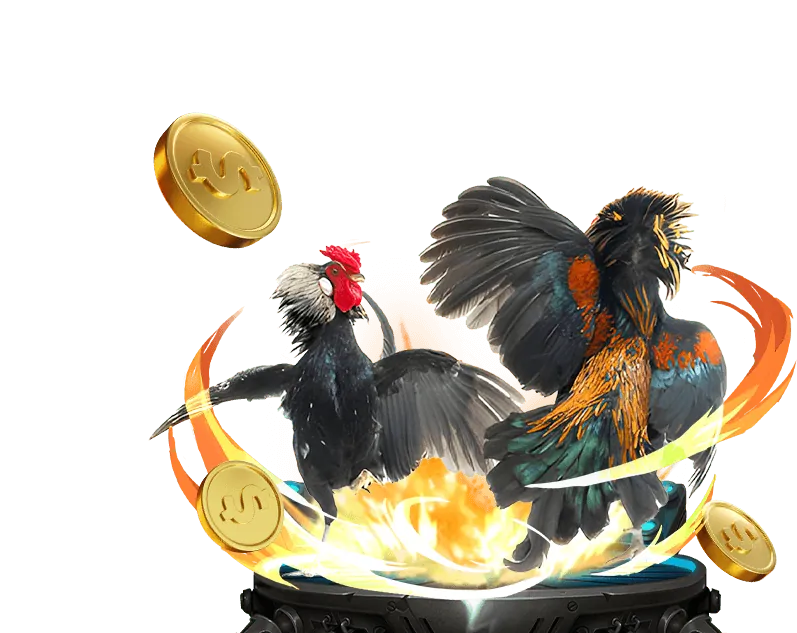 Trò chơi Đá Gà tại nohu88